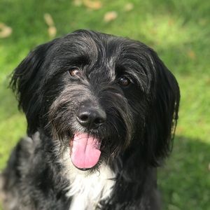 Meet your Posher, Brandon